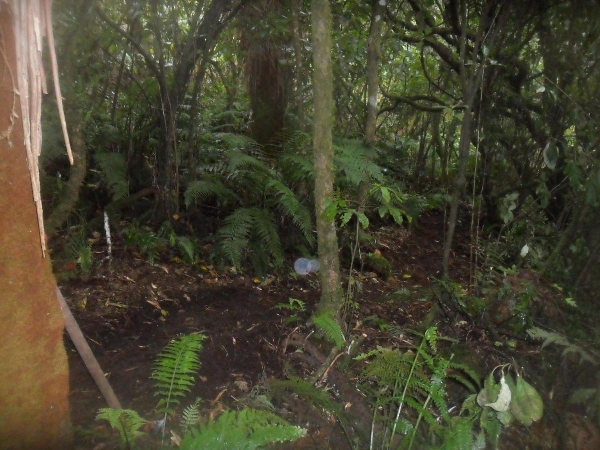 Tui Glen Villa Raurimu Bagian luar foto