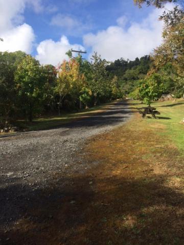 Tui Glen Villa Raurimu Bagian luar foto