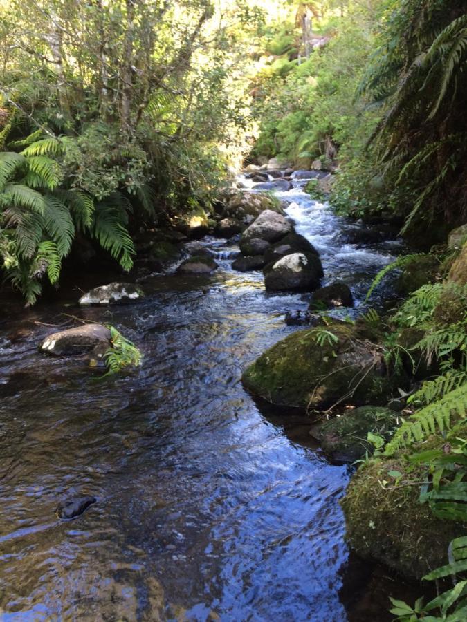 Tui Glen Villa Raurimu Bagian luar foto